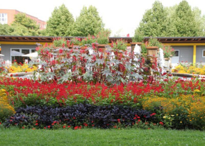 Städtepartnerdialog „Stadt – Natur – Kultur: Räume der Begegnung“ in der Workshopreihe „Gartenkunst im Dialog“